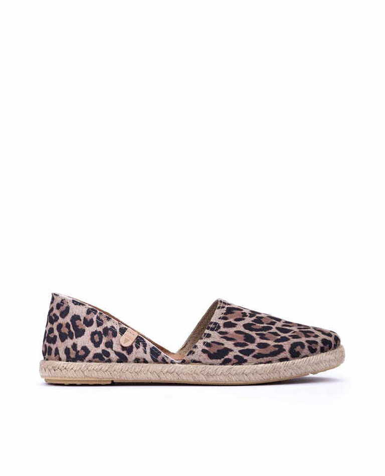 VERBENAS Carmen Leopard
