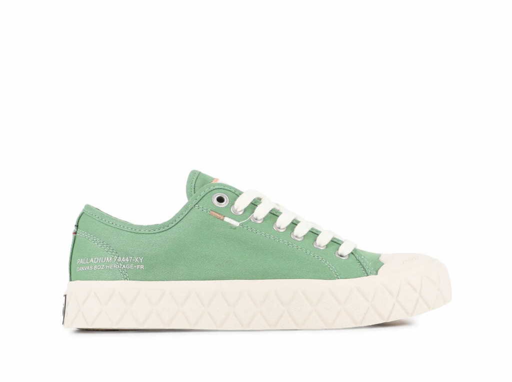 PALLADIUM Palla Ace CVS Org